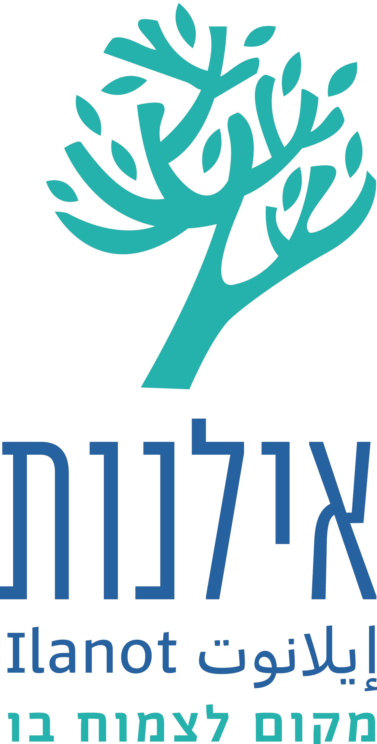בית ספר אילנות
