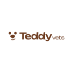 Teddy Vets