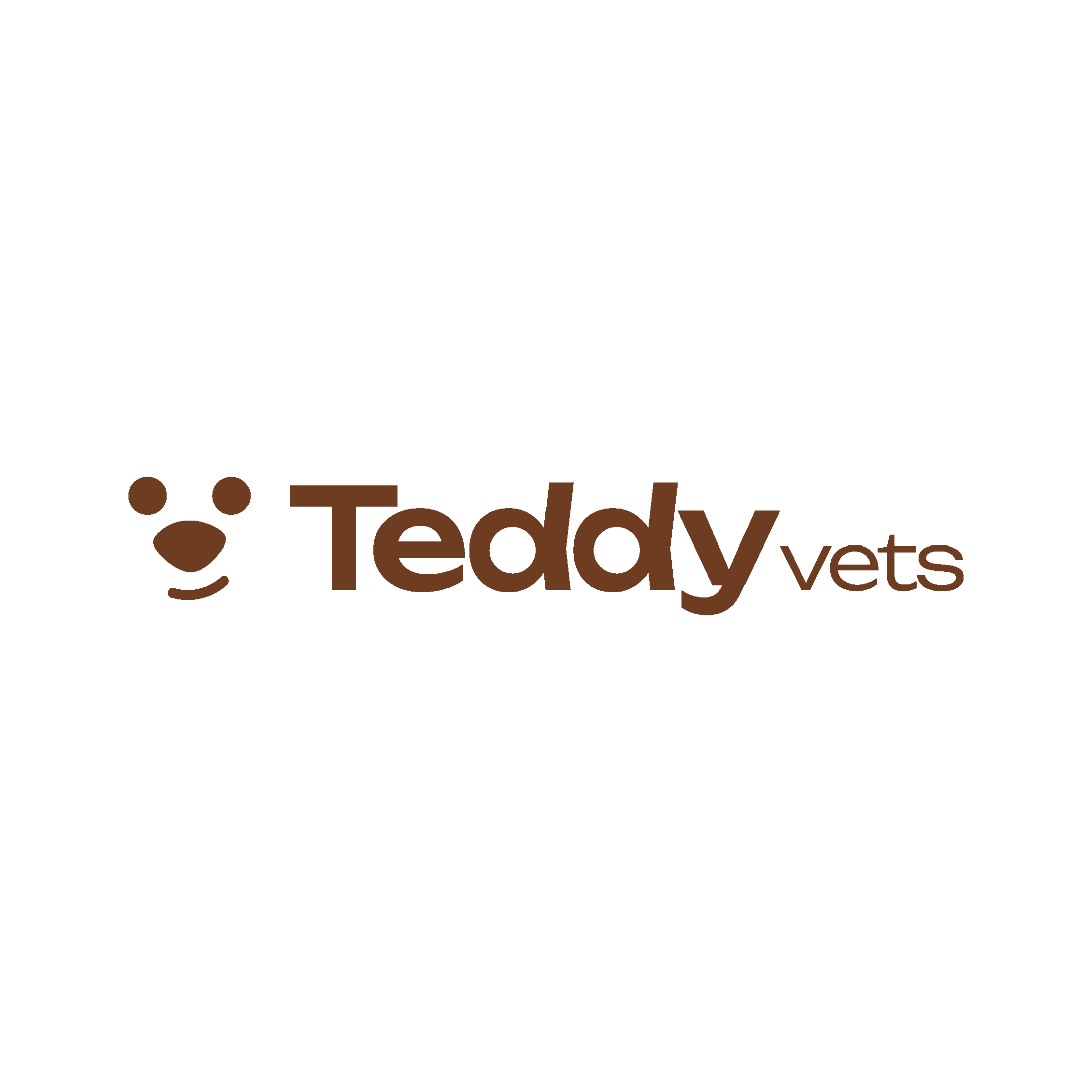 Teddy Vets