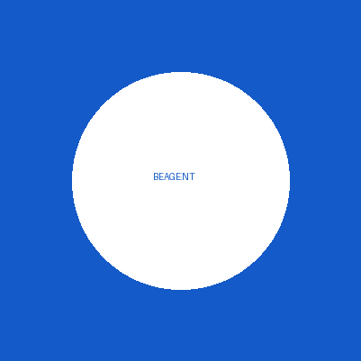 Nofesh Express / BEAGENT