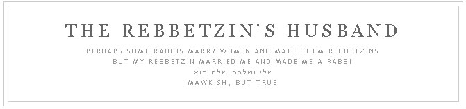 The Rebbetzin's Husband