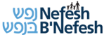 Lone Soldiers Program | Nefesh B'Nefesh FIDF Logo