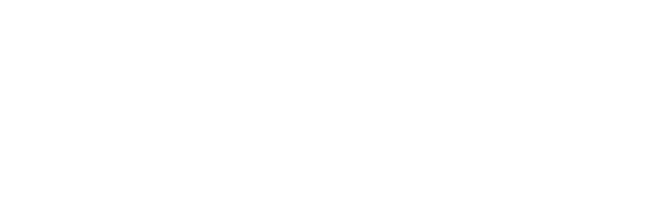 NBN_logo_white